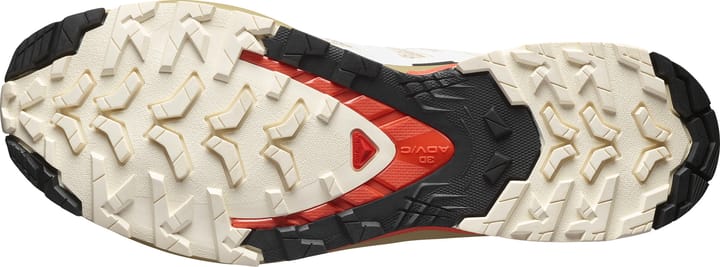 Salomon Men's XA Pro 3D V9 Almond Milk/Gray Green/Cherry Tomato Salomon
