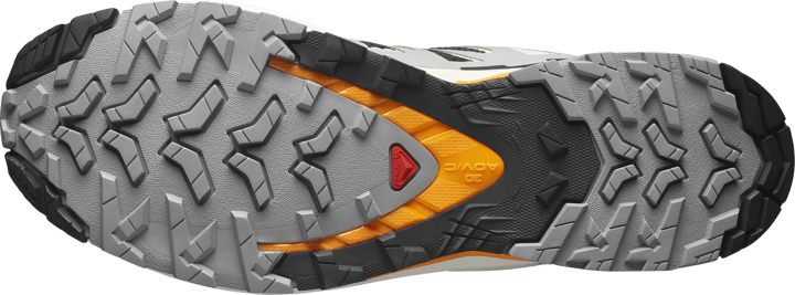 Salomon Men's XA Pro 3D V9 Black / Gull / Turmeric Salomon