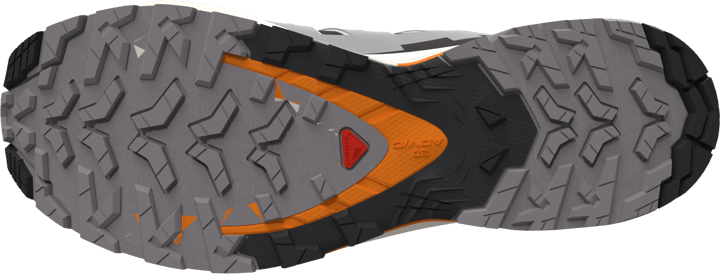 Salomon Men's XA Pro 3D V9 Black / Gull / Turmeric Salomon