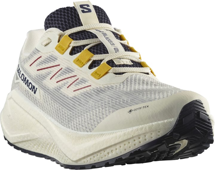 Salomon Men's Aero Blaze 3 Gravel GORE-TEX Vanilla Ice/Astral Aura/Lemon Salomon