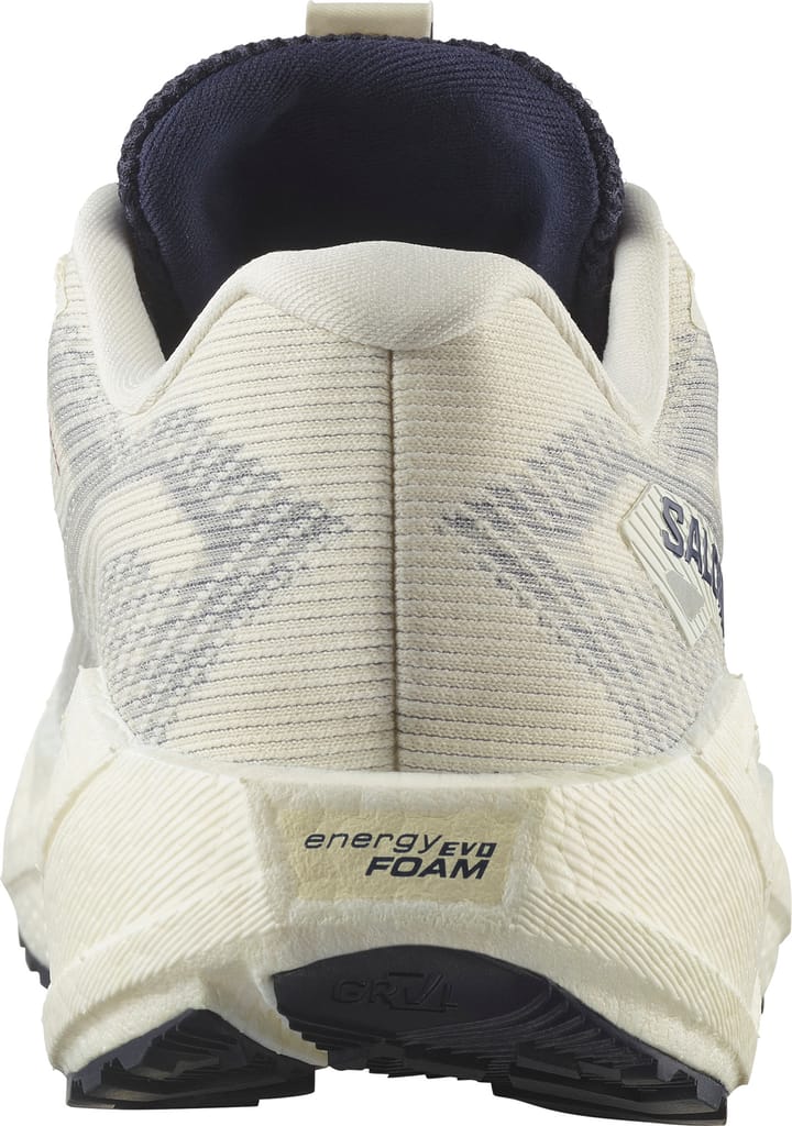 Salomon Men's Aero Blaze 3 Gravel GORE-TEX Vanilla Ice/Astral Aura/Lemon Salomon