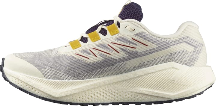 Salomon Men's Aero Blaze 3 Gravel GORE-TEX Vanilla Ice/Astral Aura/Lemon Salomon