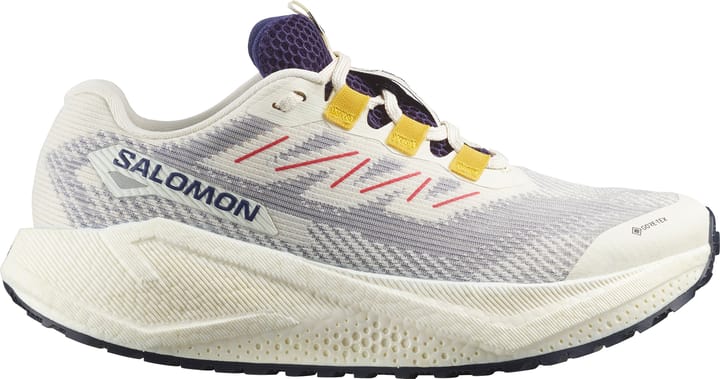 Salomon Women's Aero Blaze 3 Gravel GORE-TEX Vanilla Ice/Astral Aura/Lemon Salomon Salomon Women's Aero Blaze 3 Gravel GORE-TEX Vanilla Ice/Astral Aura/Lemon Salomon