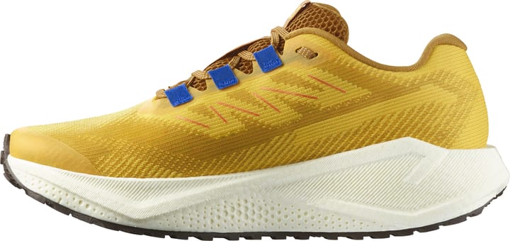 Salomon Men's Aero Blaze 3 Grvl Spicy Mustard/Vanilla Ice/Nautical Blue Salomon