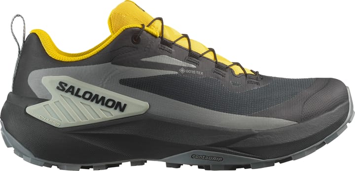 Salomon Men's Genesis GORE-TEX Black / Sedona Sage / Incaberry Salomon