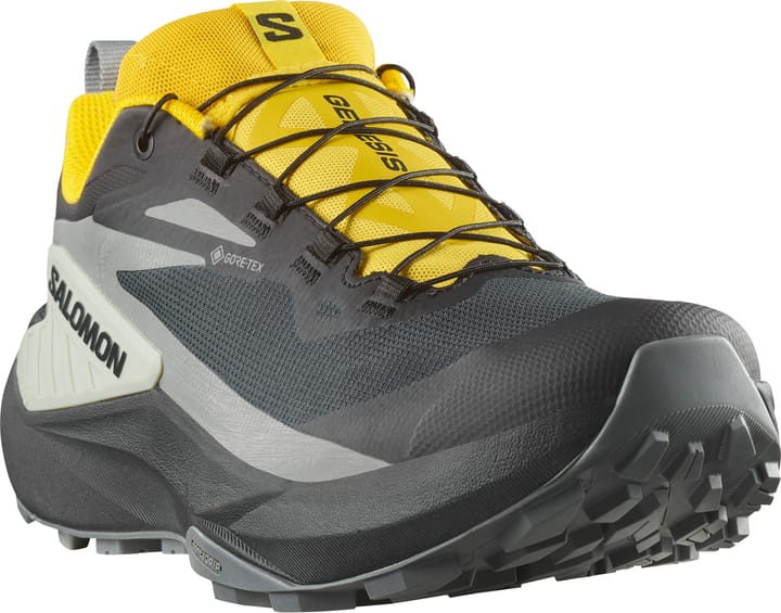 Salomon Men's Genesis GORE-TEX Black / Sedona Sage / Incaberry Salomon Salomon Men's Genesis GORE-TEX Black / Sedona Sage / Incaberry Salomon
