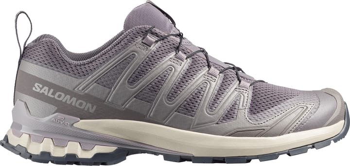 Salomon Men's XA Pro 3D V9 Dark Gull Gray/Cloudburst/Asphalt Salomon