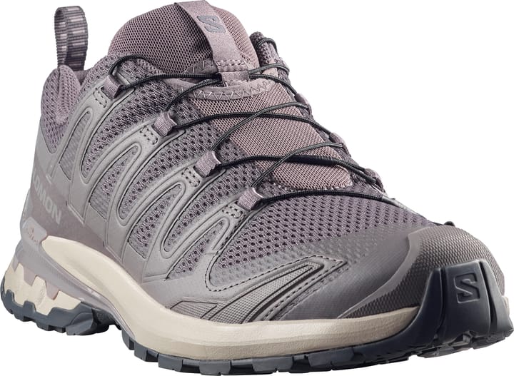 Salomon Men's XA Pro 3D V9 Dark Gull Gray/Cloudburst/Asphalt Salomon