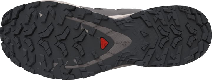 Salomon Men's XA Pro 3D V9 Dark Gull Gray/Cloudburst/Asphalt Salomon