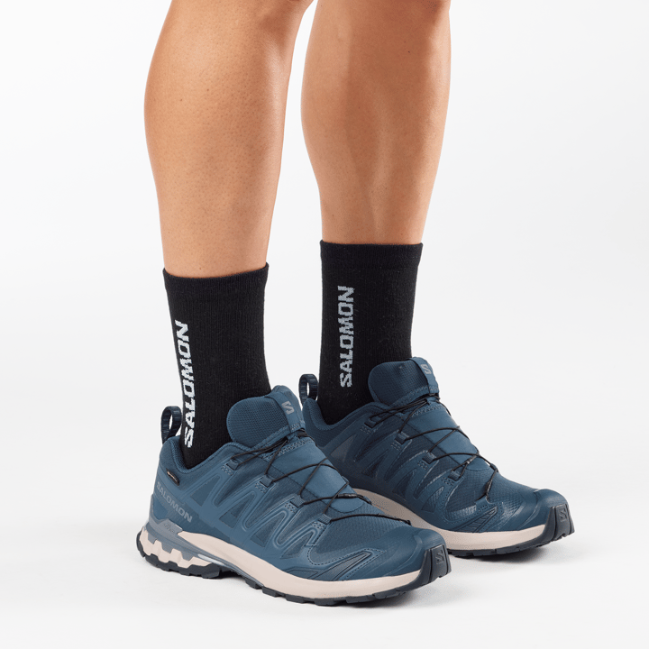 Salomon Men's XA 3D Pro V9 GORE-TEX Spellbound/Grisaille/Maritime Blue Salomon