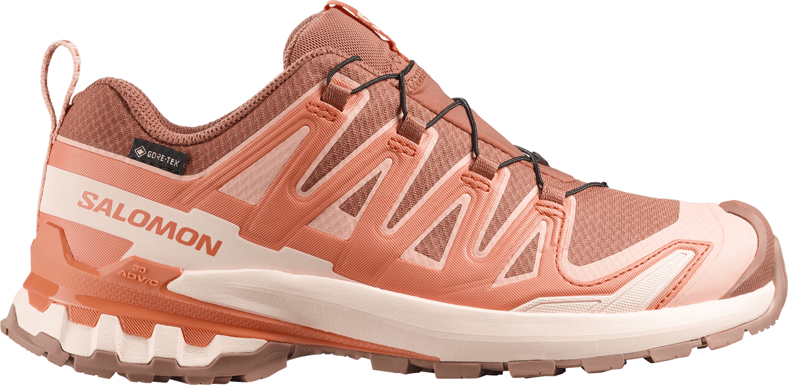 Salomon Women's XA Pro 3d V9 GORE-TEX Pecan Brown / Nectarine / Almond Cream