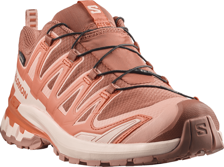 Salomon Women's XA Pro 3d V9 GORE-TEX Pecan Brown / Nectarine / Almond Cream Salomon