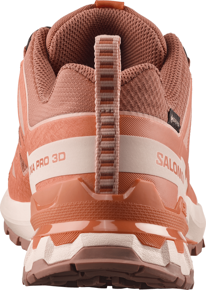 Salomon Women's XA Pro 3d V9 GORE-TEX Pecan Brown / Nectarine / Almond Cream Salomon