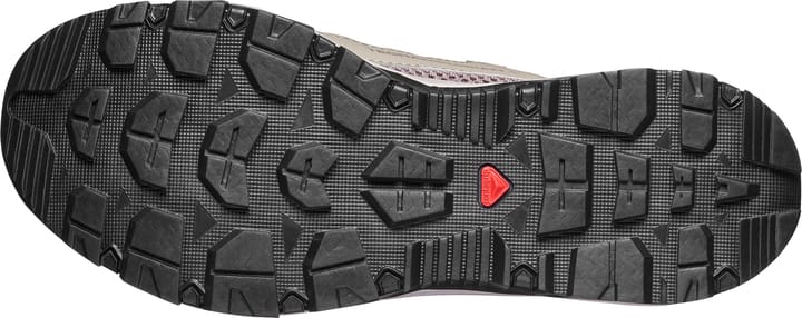 Salomon Women's Techamphibian 5 Silver Sage/Iron/Knockout Pink Salomon