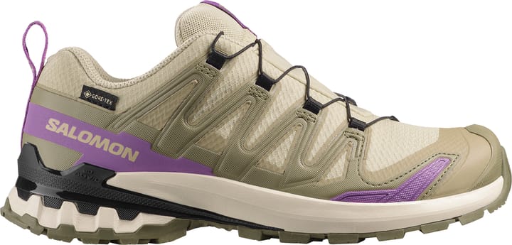 Salomon Women's XA Pro 3d V9 GORE-TEX Bog/Aloe/Concord Grape Salomon