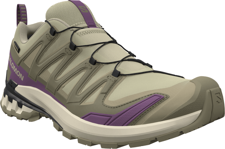 Salomon Women's XA Pro 3d V9 GORE-TEX Bog/Aloe/Concord Grape Salomon