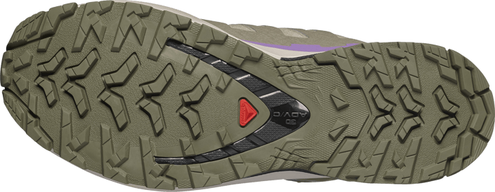 Salomon Women's XA Pro 3d V9 GORE-TEX Bog/Aloe/Concord Grape Salomon