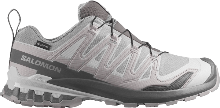 Salomon Men's XA 3D Pro V9 GORE-TEX Alloy / Castlerock / Lunar Rock Salomon