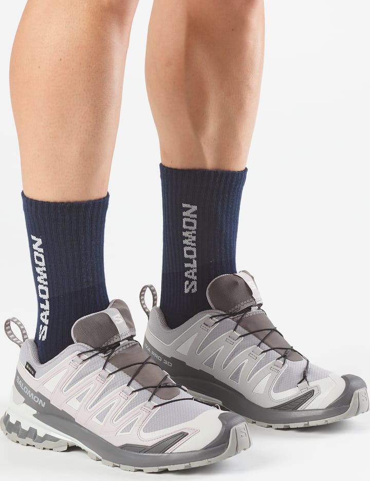 Salomon Men's XA 3D Pro V9 GORE-TEX Alloy / Castlerock / Lunar Rock Salomon