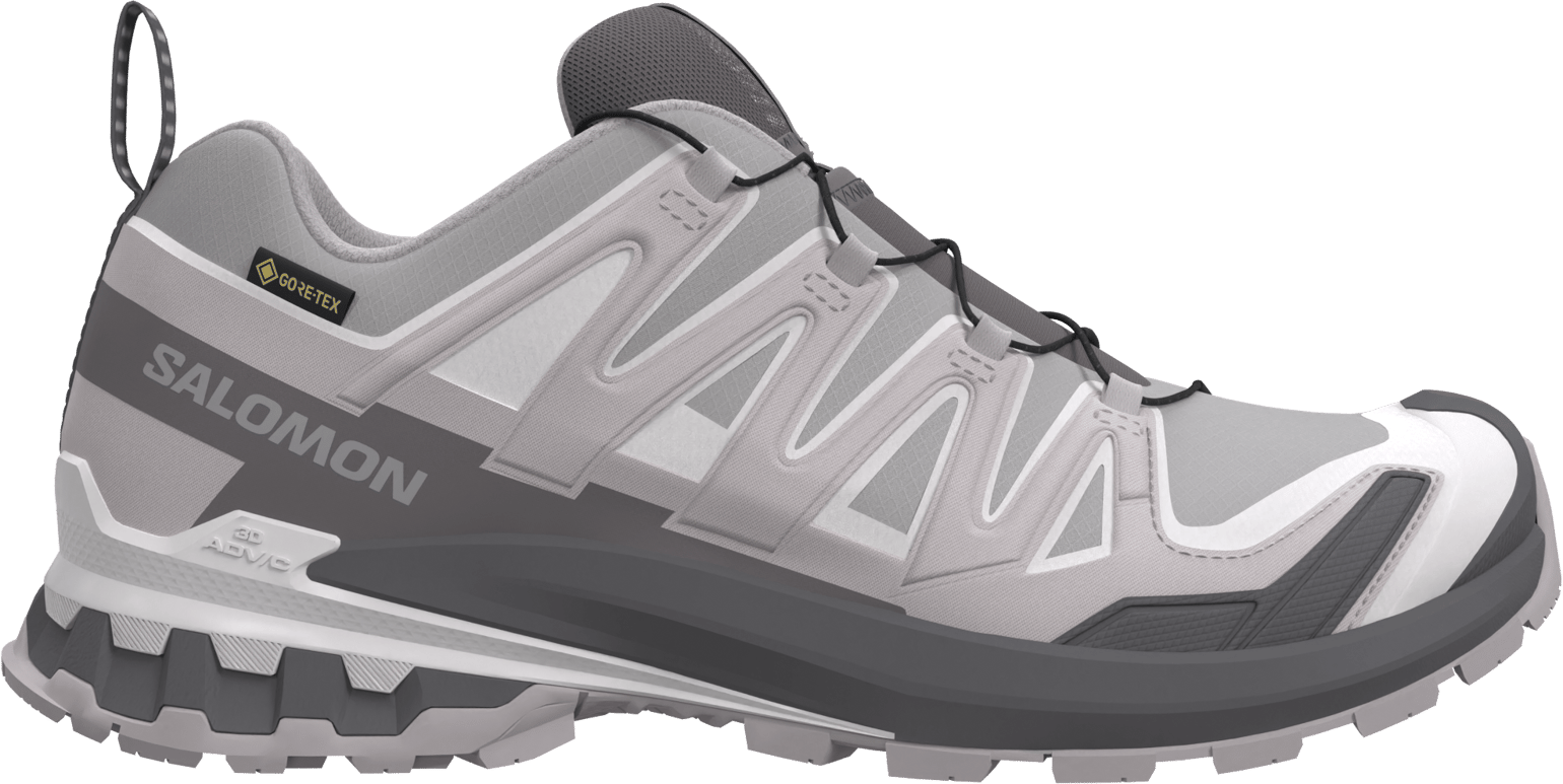 Salomon Men's XA 3D Pro V9 GORE-TEX Alloy / Castlerock / Lunar Rock