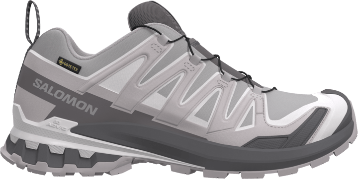 Salomon Men's XA 3D Pro V9 GORE-TEX Alloy / Castlerock / Lunar Rock Salomon
