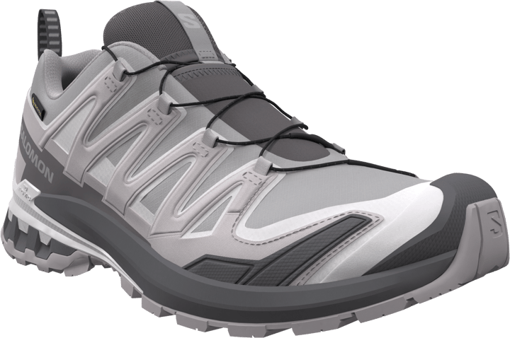 Salomon Men's XA 3D Pro V9 GORE-TEX Alloy / Castlerock / Lunar Rock Salomon