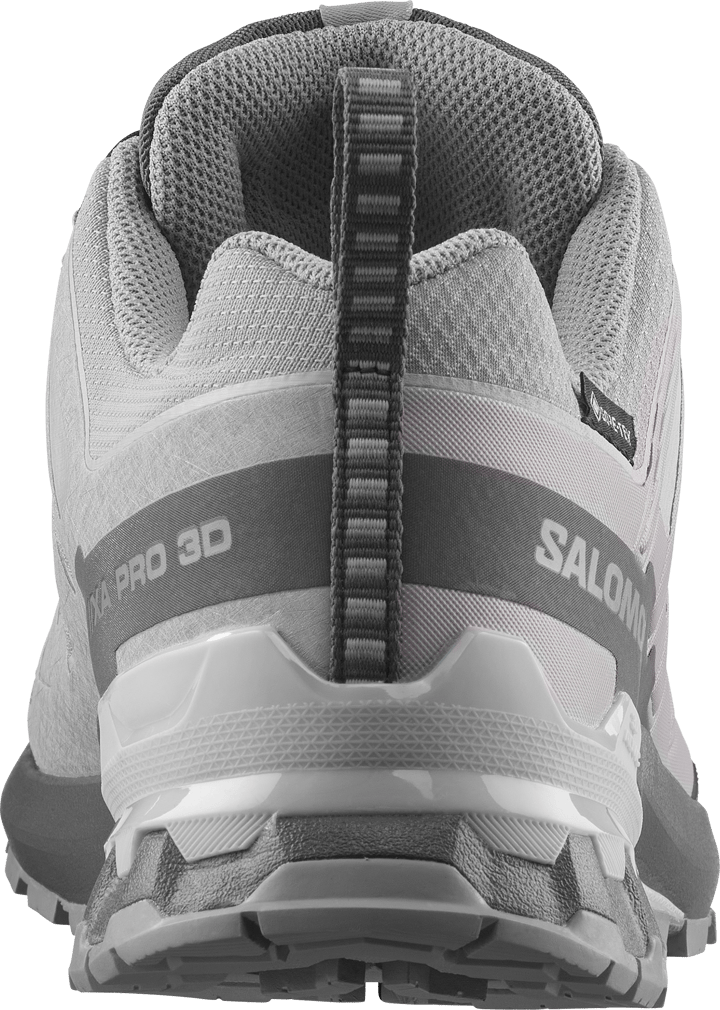 Salomon Men's XA 3D Pro V9 GORE-TEX Alloy / Castlerock / Lunar Rock Salomon