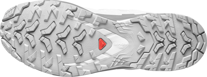 Salomon Men's XA 3D Pro V9 GORE-TEX Alloy / Castlerock / Lunar Rock Salomon