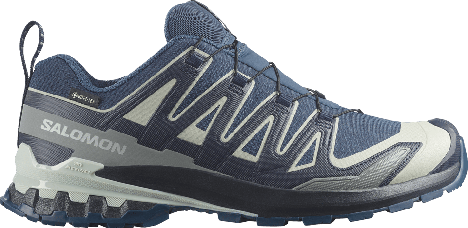 Men's XA 3D Pro V9 GORE-TEX