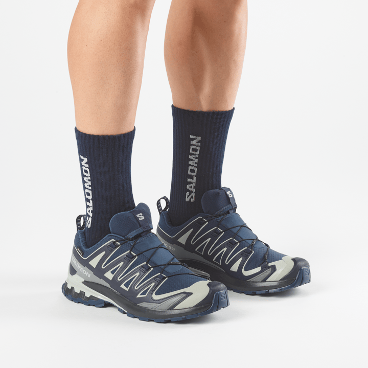 Salomon Men's XA 3D Pro V9 GORE-TEX Spellbound / Maritime Blue / Wrought Iron Salomon