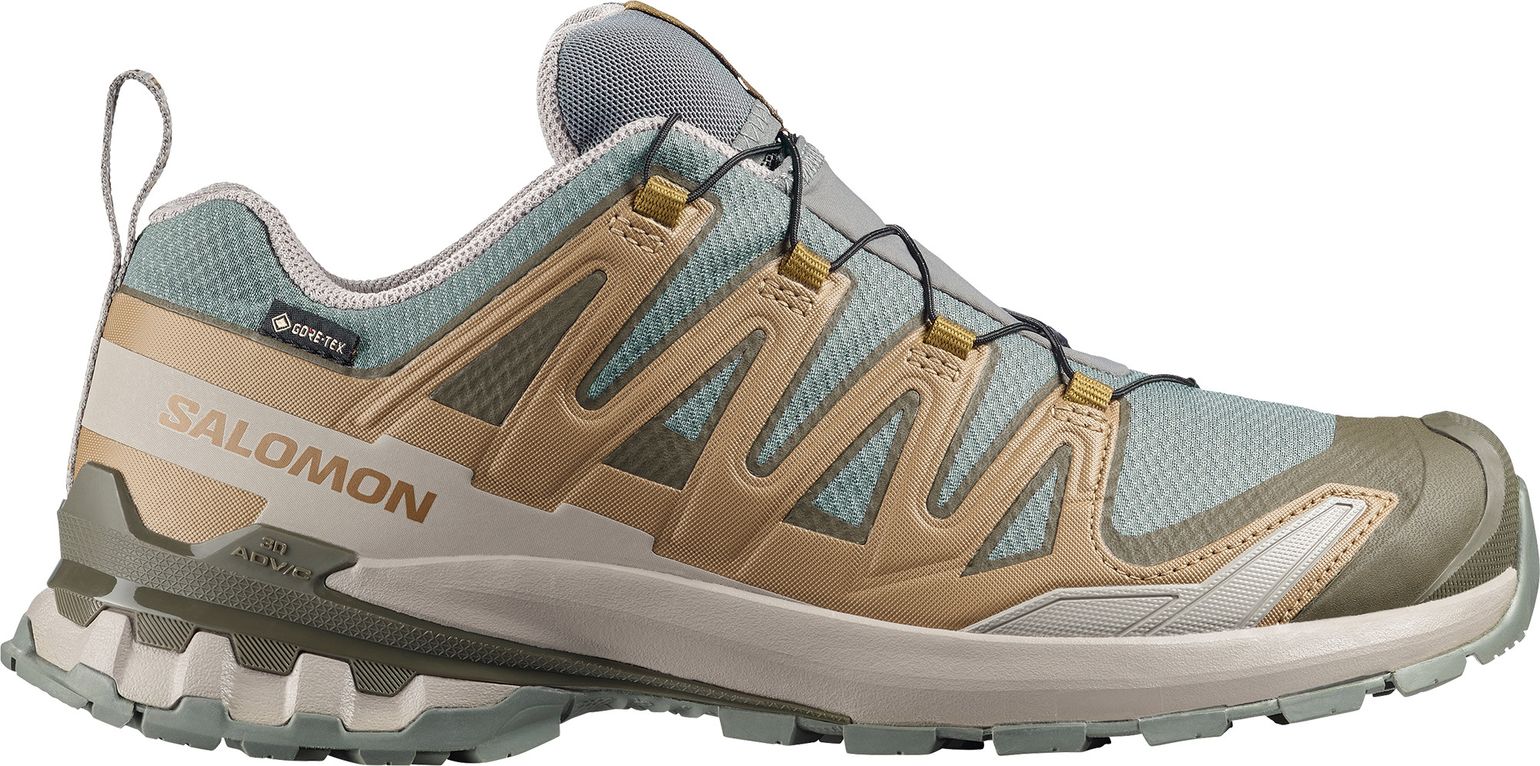 Salomon Men's XA 3D Pro V9 GORE-TEX Sedona Sage/Plantation/Paloma