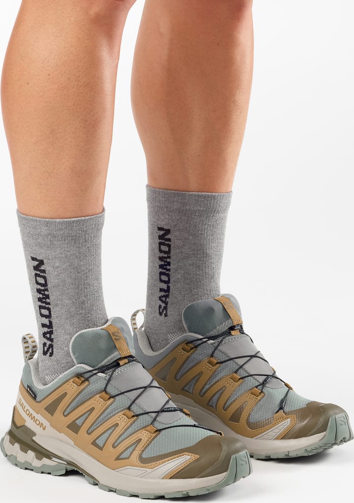 Salomon Men's XA 3D Pro V9 GORE-TEX Sedona Sage/Plantation/Paloma Salomon