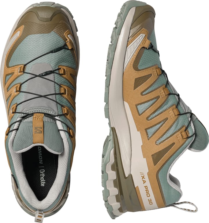Salomon Men's XA 3D Pro V9 GORE-TEX Sedona Sage/Plantation/Paloma Salomon