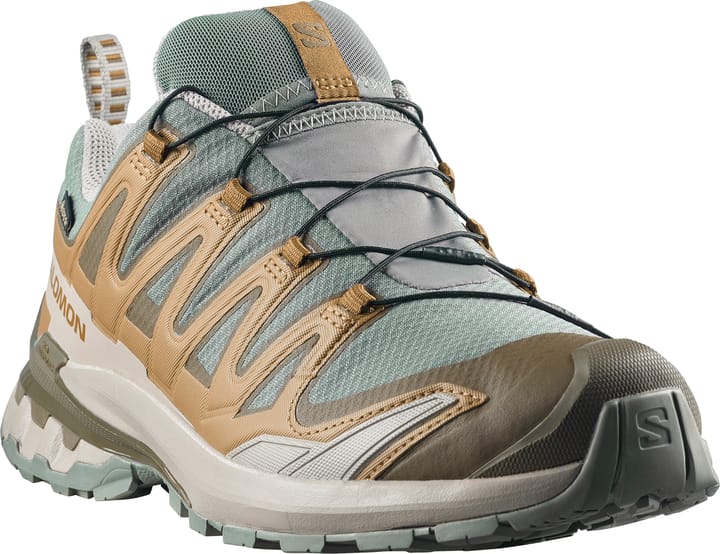 Salomon Men's XA 3D Pro V9 GORE-TEX Sedona Sage/Plantation/Paloma Salomon