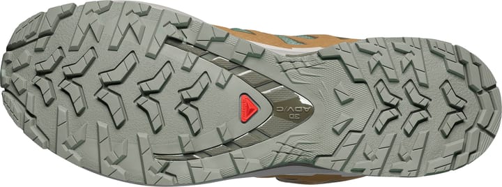 Salomon Men's XA 3D Pro V9 GORE-TEX Sedona Sage/Plantation/Paloma Salomon