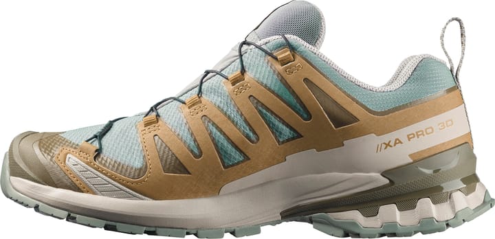 Salomon Men's XA 3D Pro V9 GORE-TEX Sedona Sage/Plantation/Paloma Salomon