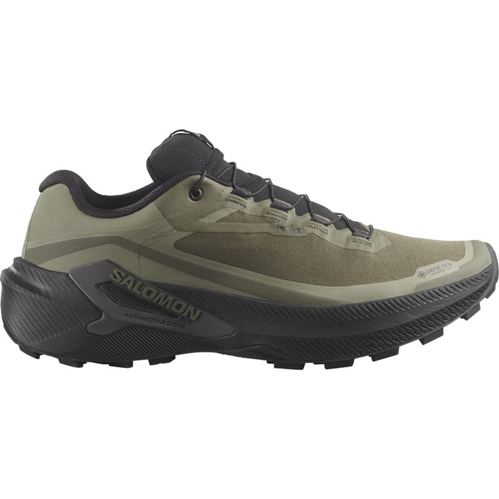 Salomon Genesis 2 Gtx Grape Leaf / Black / Deep Lichen Green Salomon