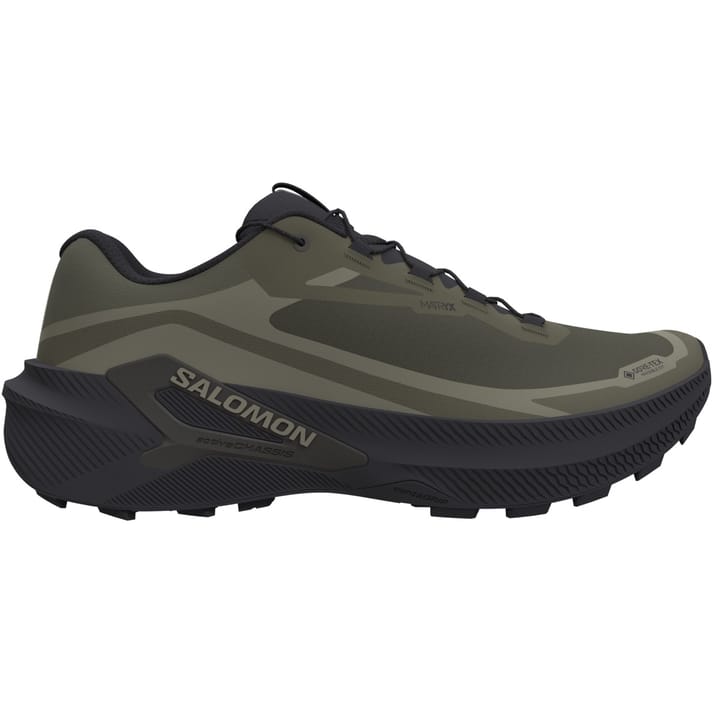 Salomon Genesis 2 Gtx Grape Leaf / Black / Deep Lichen Green Salomon