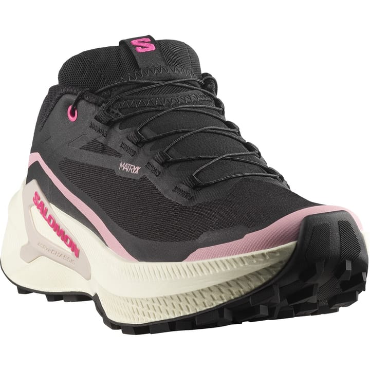Salomon Genesis 2 Gtx W Black / Vanilla Ice / Dawn Pink Salomon