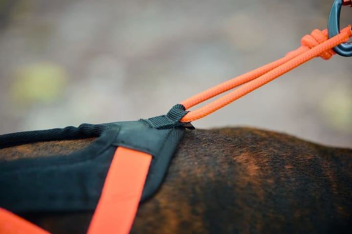Non-stop Dogwear Rush Harness Black/orange Non-stop Dogwear