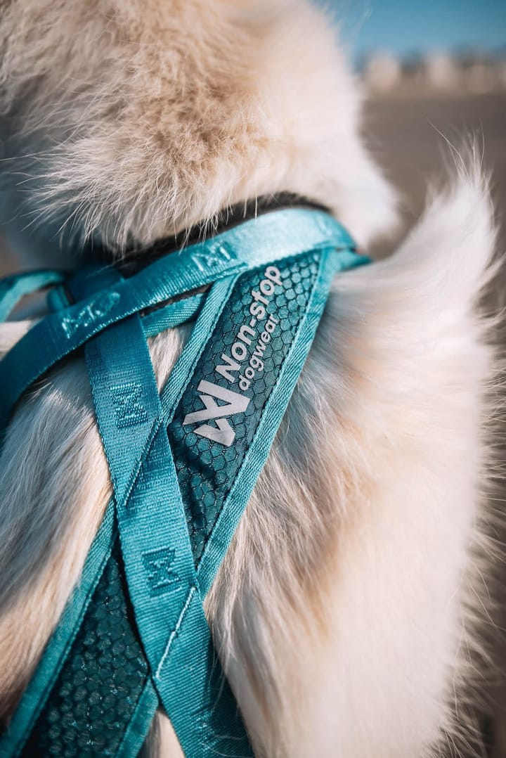 Non-stop Dogwear Rush Harness Teal Non-stop Dogwear