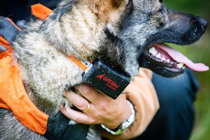 Lafayette GPS Mini Black Lafayette Lafayette GPS Mini Black Lafayette