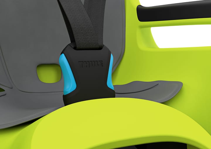 Thule Ride Along 2 Rack Mount Zen Lime Thule