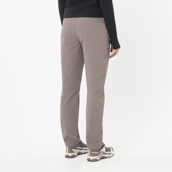 Salomon Women's Wayfarer Warm Pants Iron Salomon