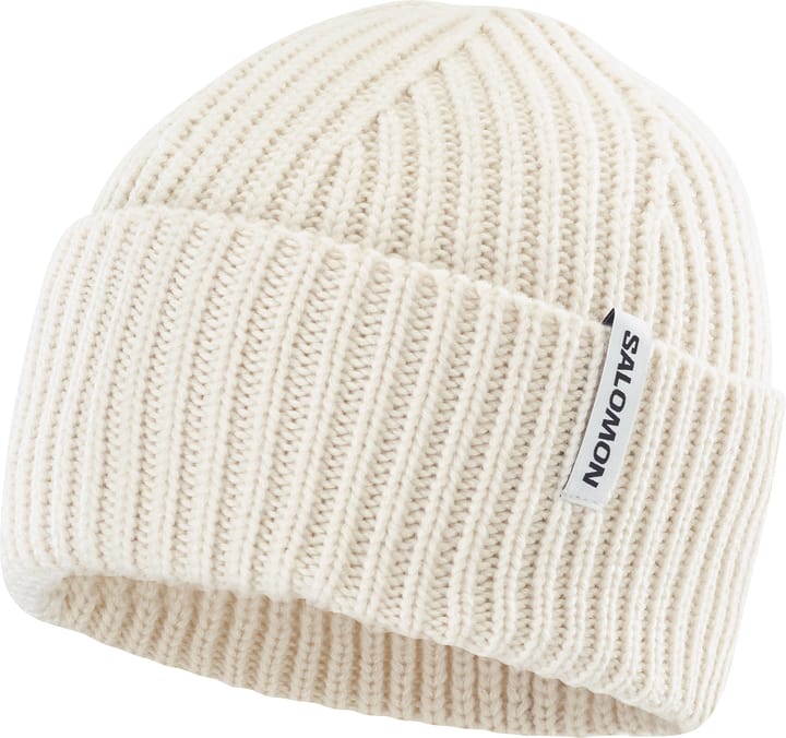 Salomon Snowbird Beanie Whisper White Salomon