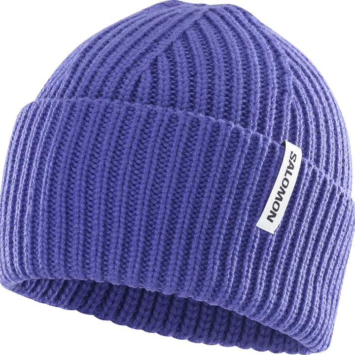 Salomon Snowbird Beanie Liberty Salomon