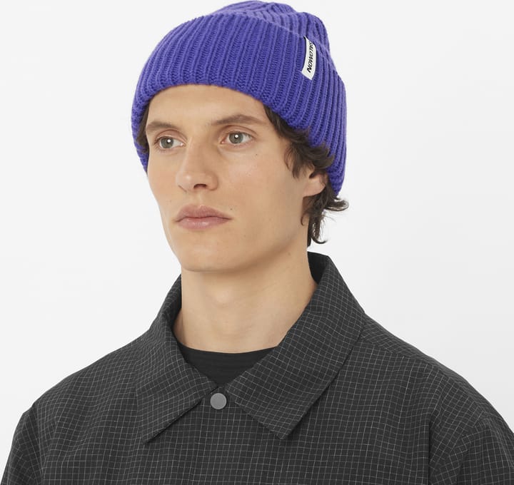 Salomon Snowbird Beanie Liberty Salomon