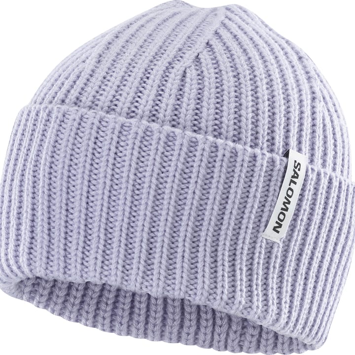 Salomon Snowbird Beanie Cosmic Sky Salomon