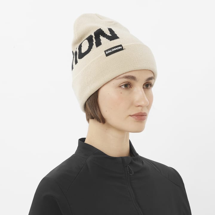 Salomon Hermitage Beanie Whisper White Salomon
