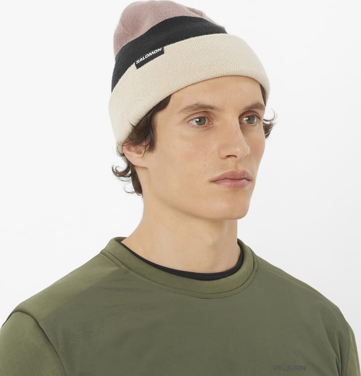 Salomon Flatspin Reversible Beanie Deep Black / Whisper White / Etherea Salomon